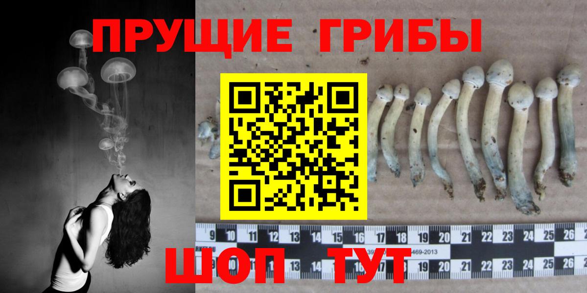 Галлюциногенные грибы GOLDEN TEACHER  Вход с VPN  Елец 