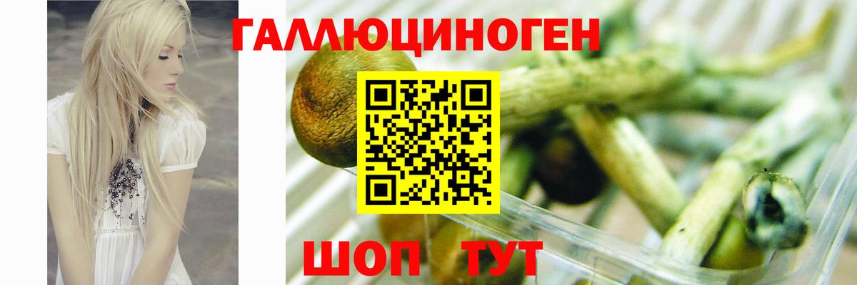 Галлюциногенные грибы прущие грибы Елец